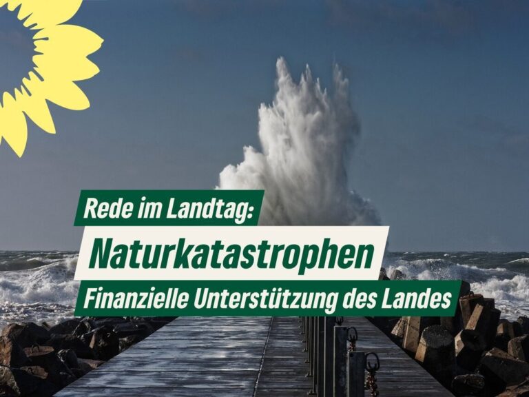 Effektive Unterstützung bei Naturkatastrophen