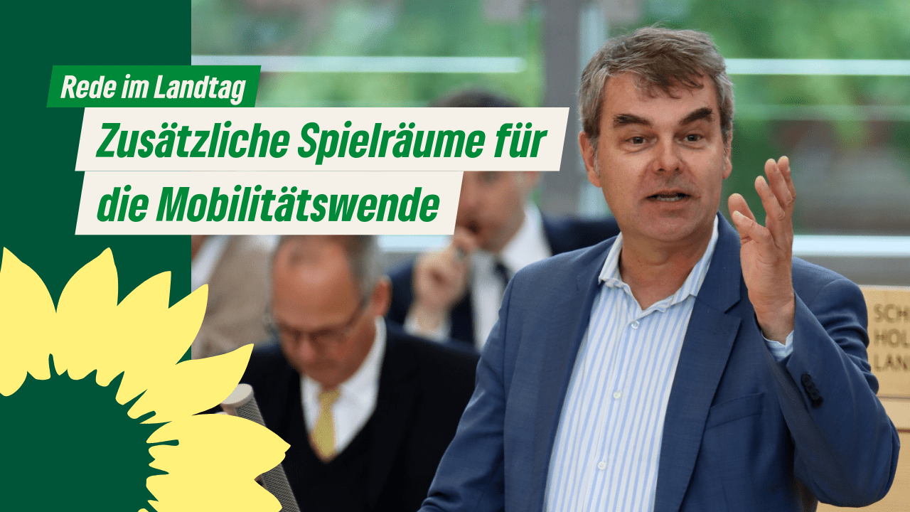 Oliver Brandt spricht im Landtag. Foto: Landtagsfraktion B90/Grüne