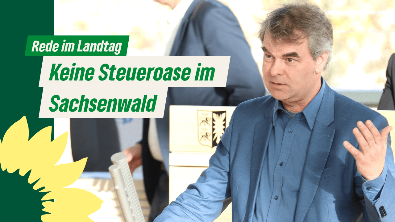 Oliver Brandt spricht im Landtag. Foto: Landtagsfraktion B90/Grüne