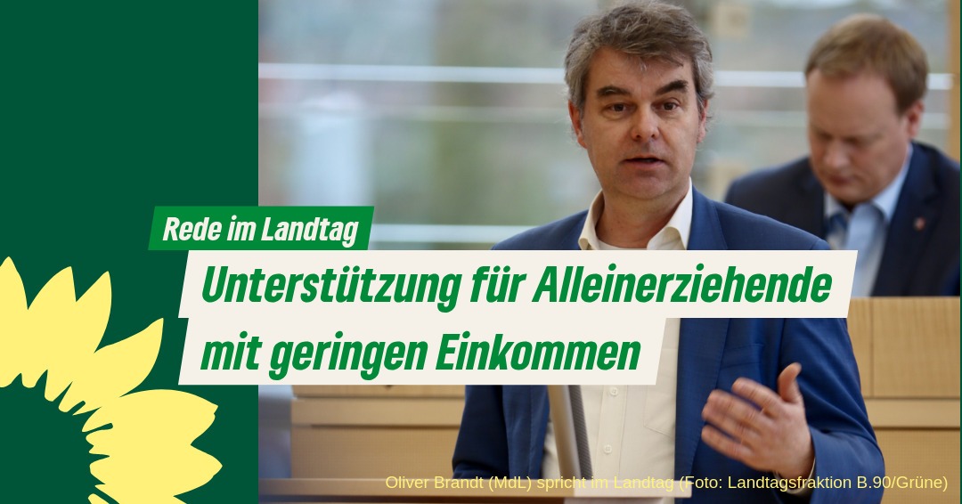 Oliver Brandt (MdL) spricht im Landtag (Foto: Landtagsfraktion B.90/Grüne)