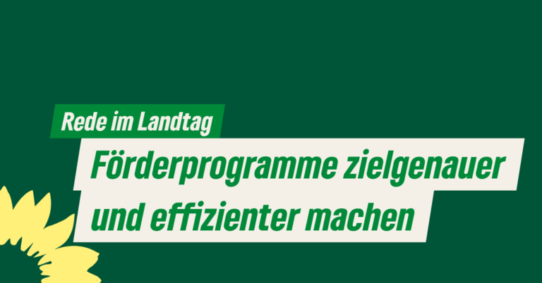 Förderprogramme zielgenauer und effizienter machen
