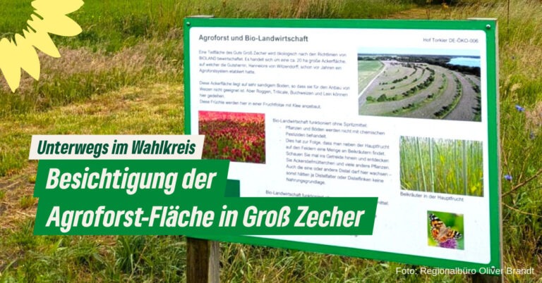 Besichtigung der Agroforst-Fläche in Groß Zecher