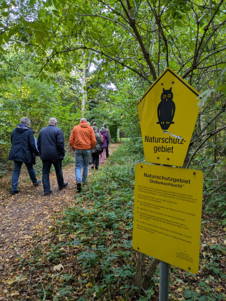 Grüner Waldspaziergang im Naturschutzgebiet "Dalbekschlucht". Foto: Regionalbüro Oliver Brandt
