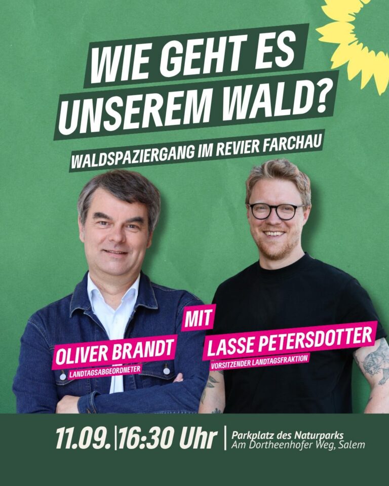 Grüner Waldspaziergang im Revier Farchau