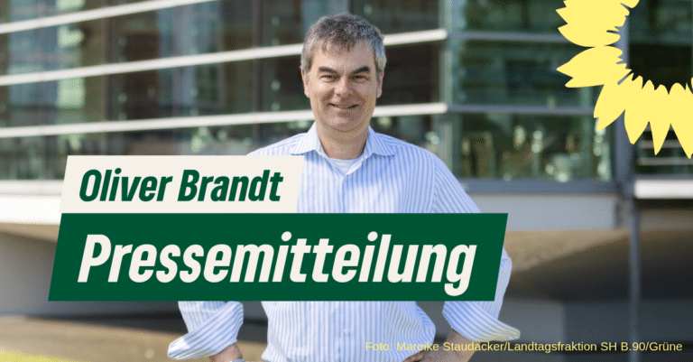 Grüne protestieren gegen Ausdünnung der Verbindungen nach Büchen